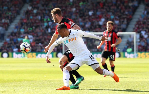 他的组织能 他的组织能